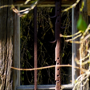Fenêtre avec barreaux rouillés, encadrement en bois et plantes - Belgique  - collection de photos clin d'oeil, catégorie rues